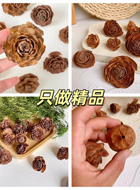 【木玫瑰干花】天然植物果壳花手工DIY插花素材松果标本画立体