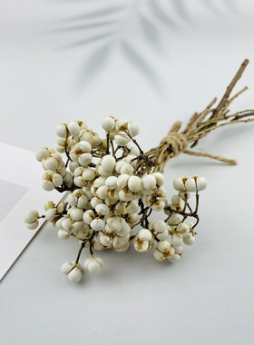白果干花乌桕冬菇圣诞树白豆松树插花装饰树枝植物北欧花束拍照道