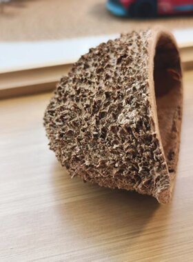 【刺猬壳】天然植物手工diy材料侘寂风装修装饰摆件拍摄道具南美