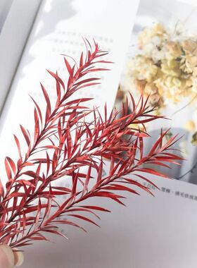 永生花千层金干花配草香薰蜡烛圣诞花环藤圈点缀材料Diy居家装饰
