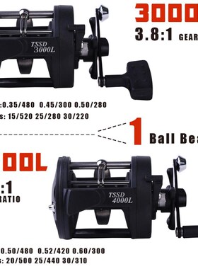 Top Quality TSSD 3000L-4000L Big Saltwater Fishing Reel Salt