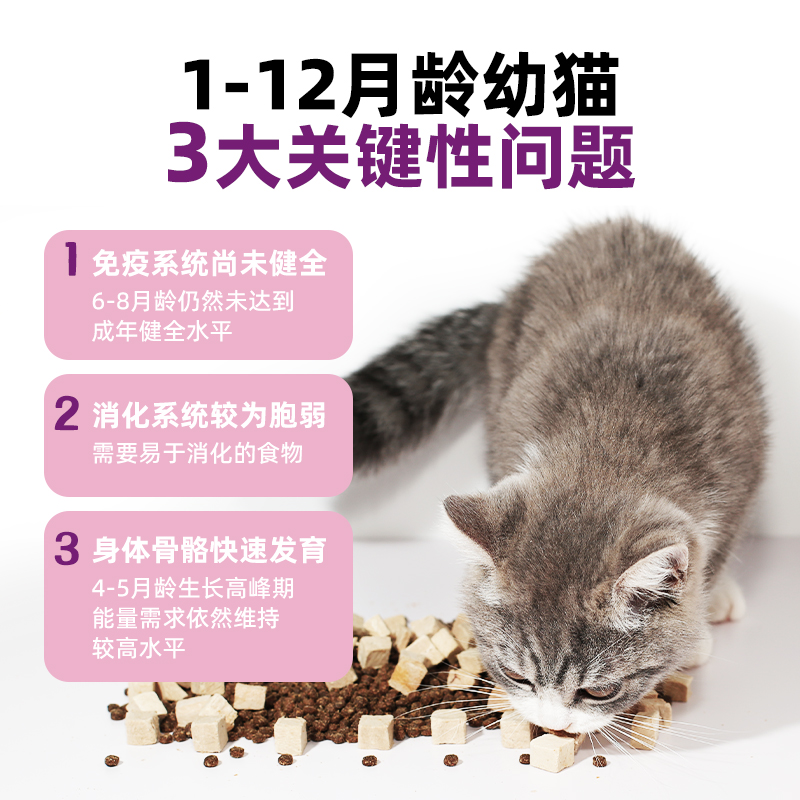 嘻哆宝幼猫猫粮1到4月4到12月益生菌无谷冻干成猫幼猫营养奶糕粮 - 图2