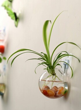 2018 New Hanging Flower Pot Glass  Vase Terrarium Wall Trans