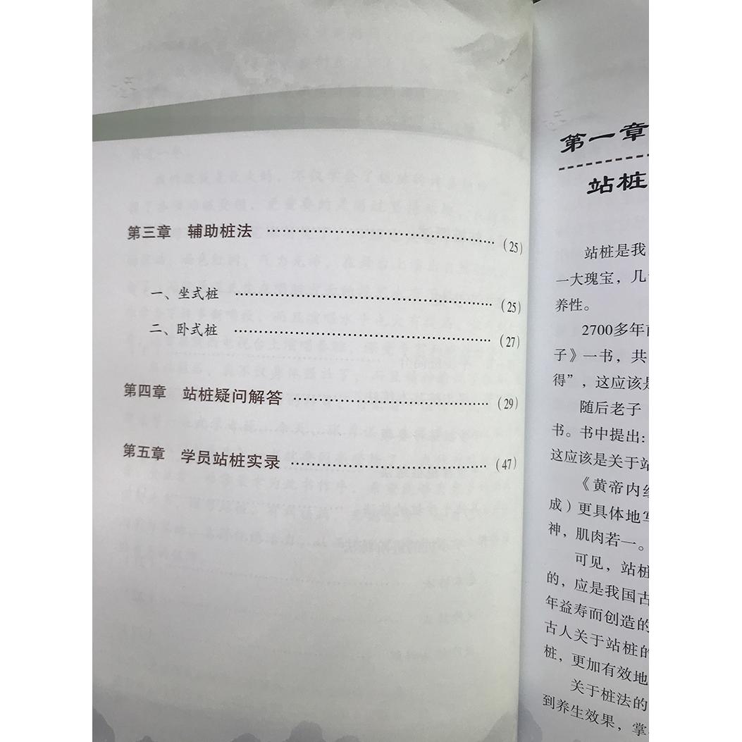 站桩入门与养生 张勇谋高松著 家庭保健养生书排行榜武术气功站桩 - 图2