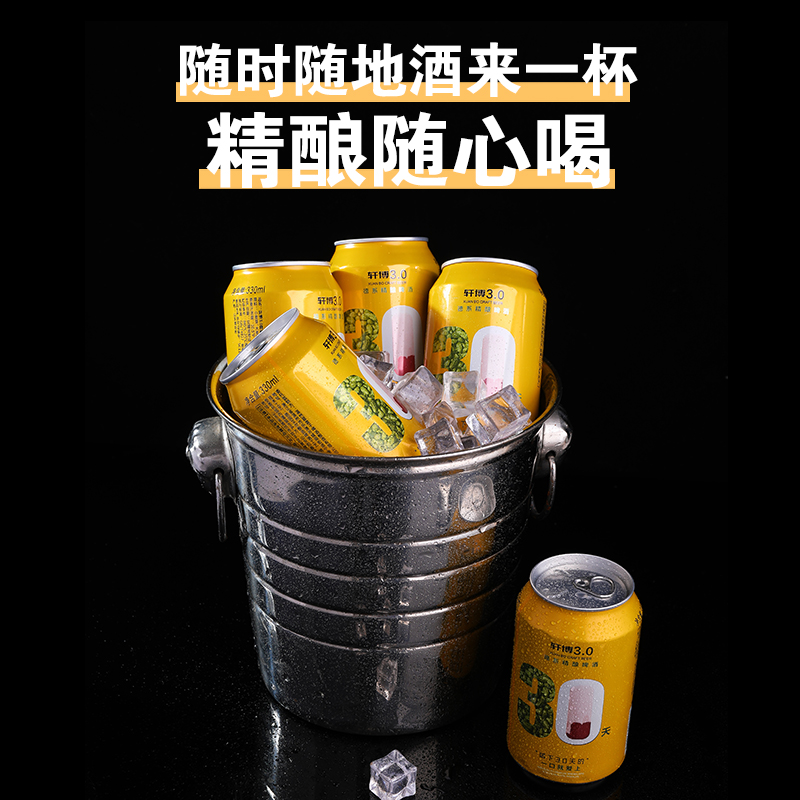 轩博精酿原浆啤酒整箱艾尔工艺德系10度330ml*24易拉罐装白啤扎啤 - 图2