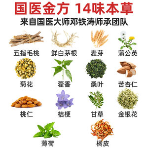 国医邓老清冠饮壹号广东凉茶颗粒冲剂固体饮料1盒装2盒装组合装