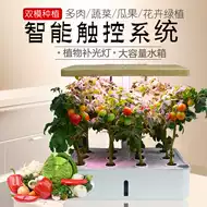 育苗盘水耕 新人首单立减十元 21年9月 淘宝海外