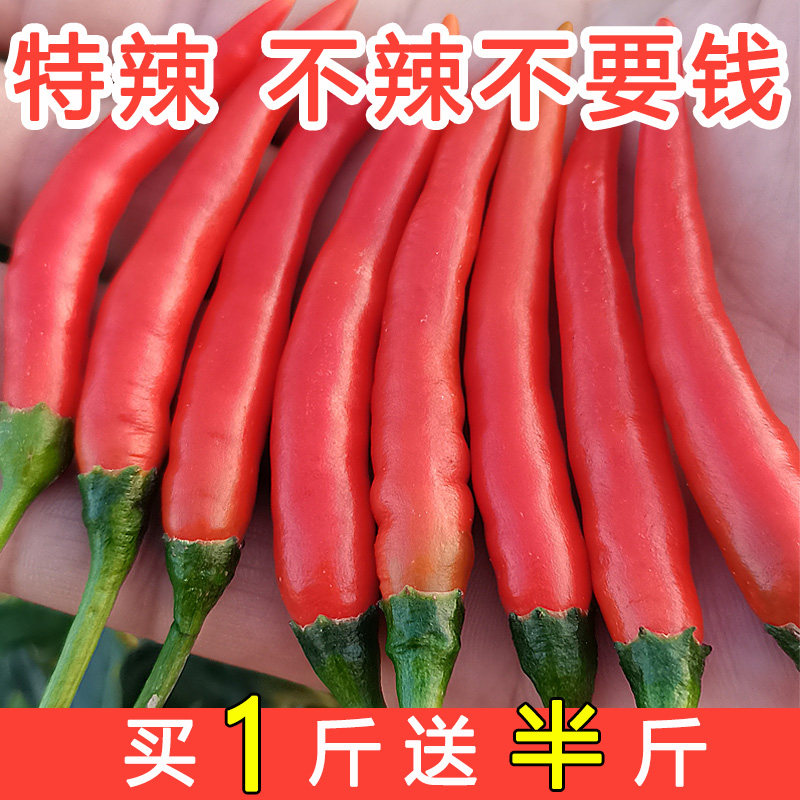 小米椒新鲜5斤广东薄皮红辣椒朝天椒小米辣批发指天椒尖椒特辣10_虎窝淘
