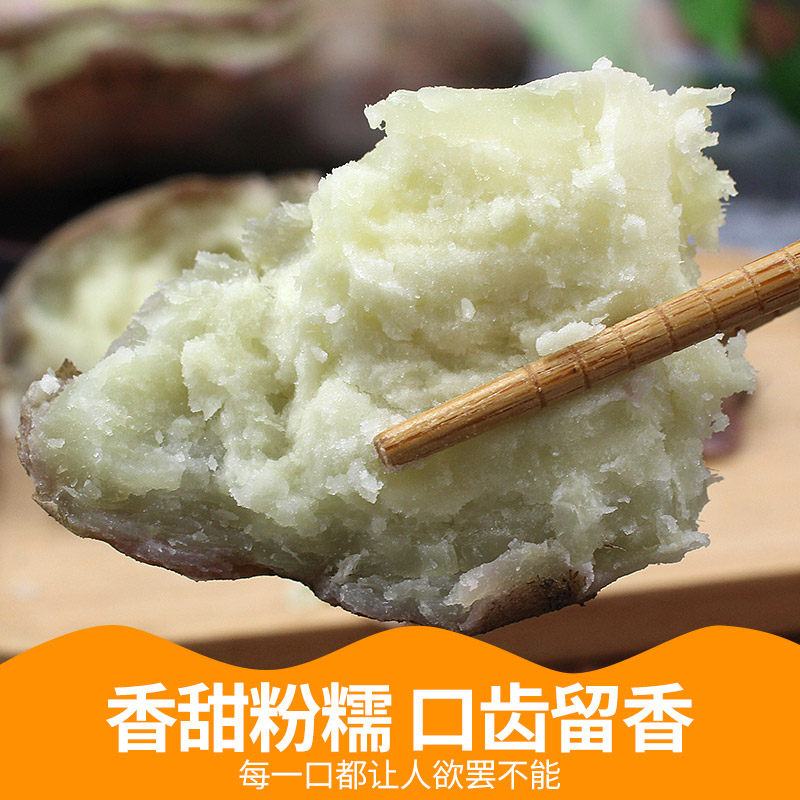 正心冰淇淋白心薯9斤新鲜香甜地瓜 唱果歌生鲜番薯