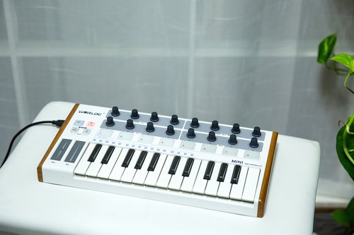 worlde mini专业midi键盘打击垫控制器编曲键盘音乐键盘电音键盘-图3