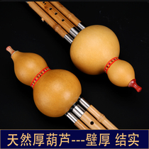 FG Type CD Hulusi Zero Elementary And Middle School Students Play Adults Starter Nanzhu Children B cut basic tonics