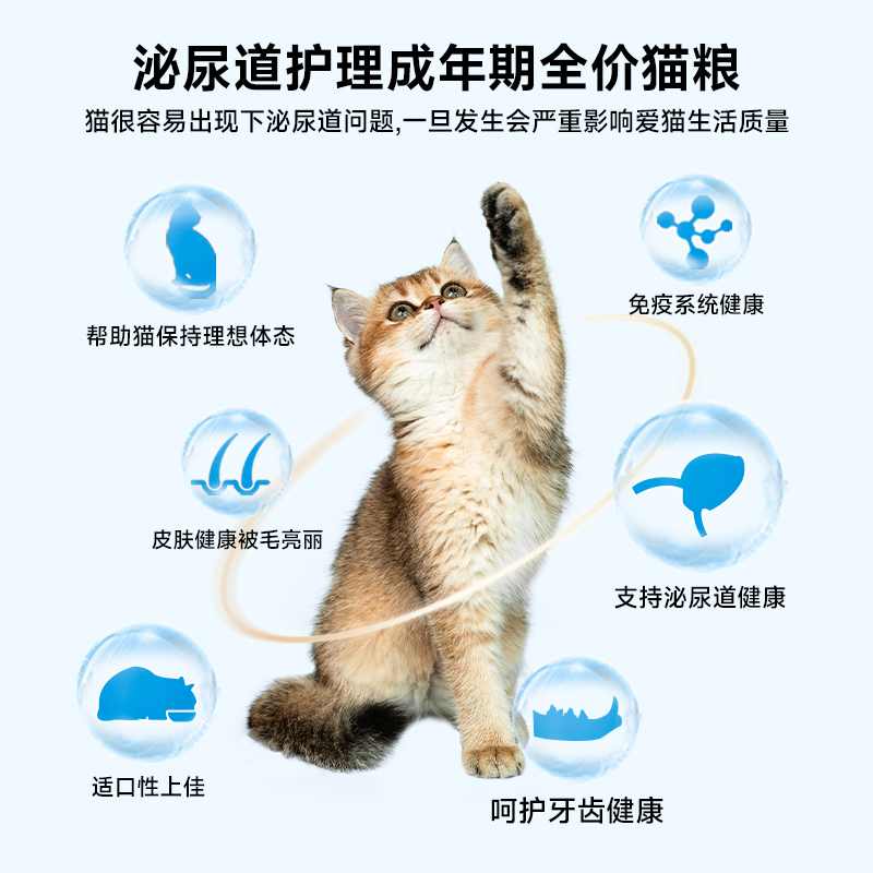 [限100份]食物链M90功能小仙包蔓越莓成猫主食罐头零食猫咪咕噜酱 - 图2