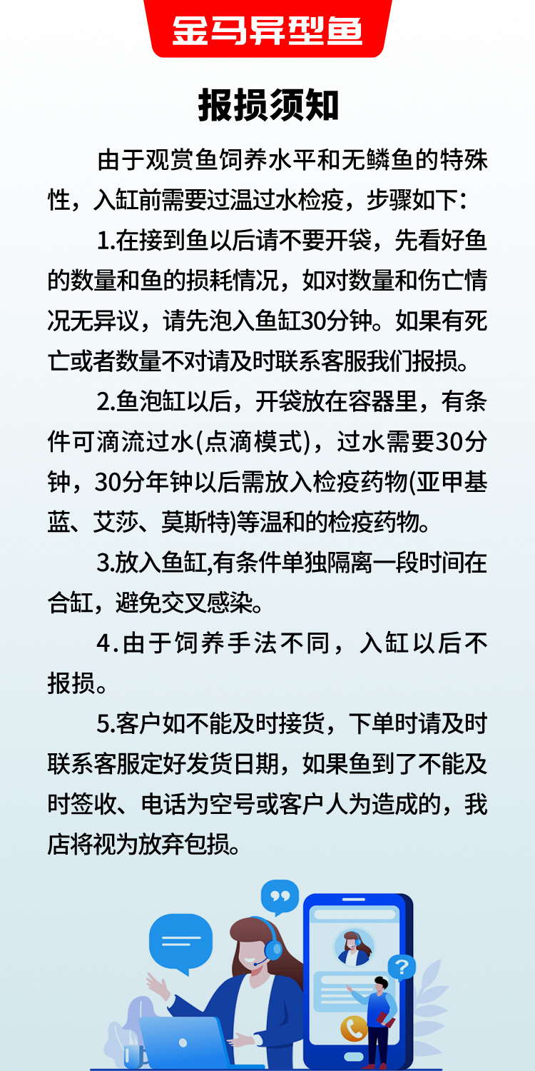 黄金大胡子大帆清道夫鱼蓝眼胡子鱼24K红眼胡子鱼除藻清缸工具鱼 - 图3