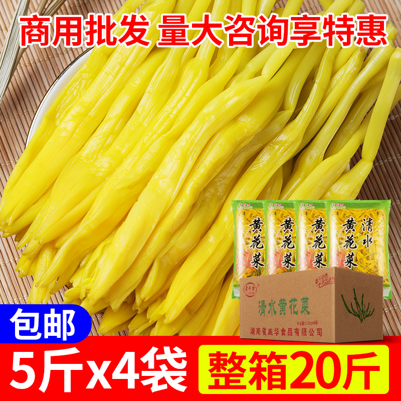 商用清水黄花菜新鲜凉拌菜盐水金针菜笋丝蕨菜火锅串串麻辣烫食材-图0