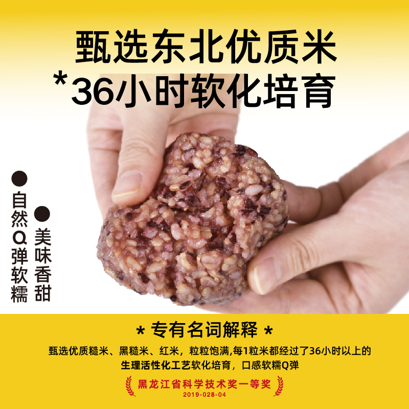 糙米大匠发芽糙米即食饭团80g膳食纤维代餐饱腹零添加非糯米零脂 - 图0