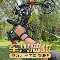 Military Rise Villain with Dual-use Bow Composite Bow Steel Ball Bow Non trailblazers Titanium Alloy Short Shaft Triangle Pulley Bow