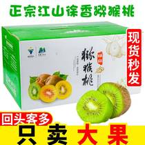 Zhengzongjiang Mountain Xuxiang Mic Exotic Fruits 5 Catty Fruits Fresh Fruit When Season Full Box 10 Tg Green Heart Chic Exotic Fruits