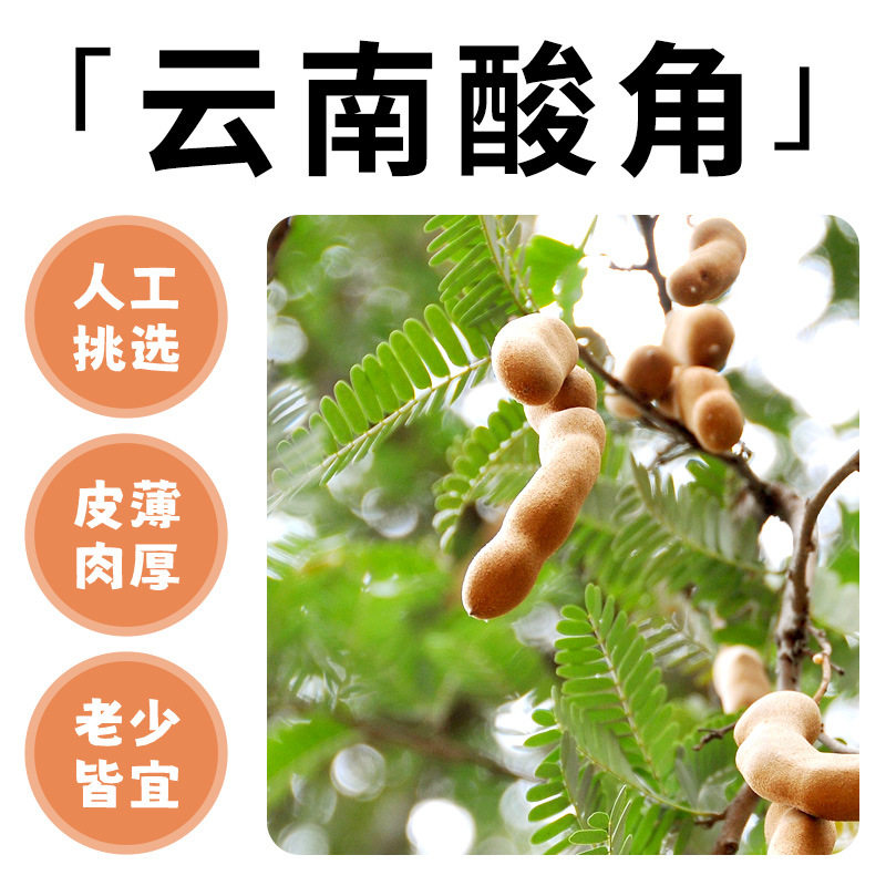 云南特产野酸角酸角甜角酸角糕果脯蜜饯孕妇糖小吃零食袋装,淘宝优惠券,粉丝福利购,淘宝优惠卷