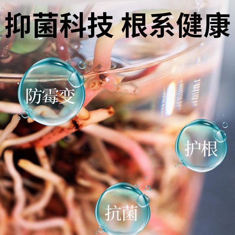 喜酸性植物营养液水培营养液植物通用型水培盆栽花卉绿萝叶面喷施-图3