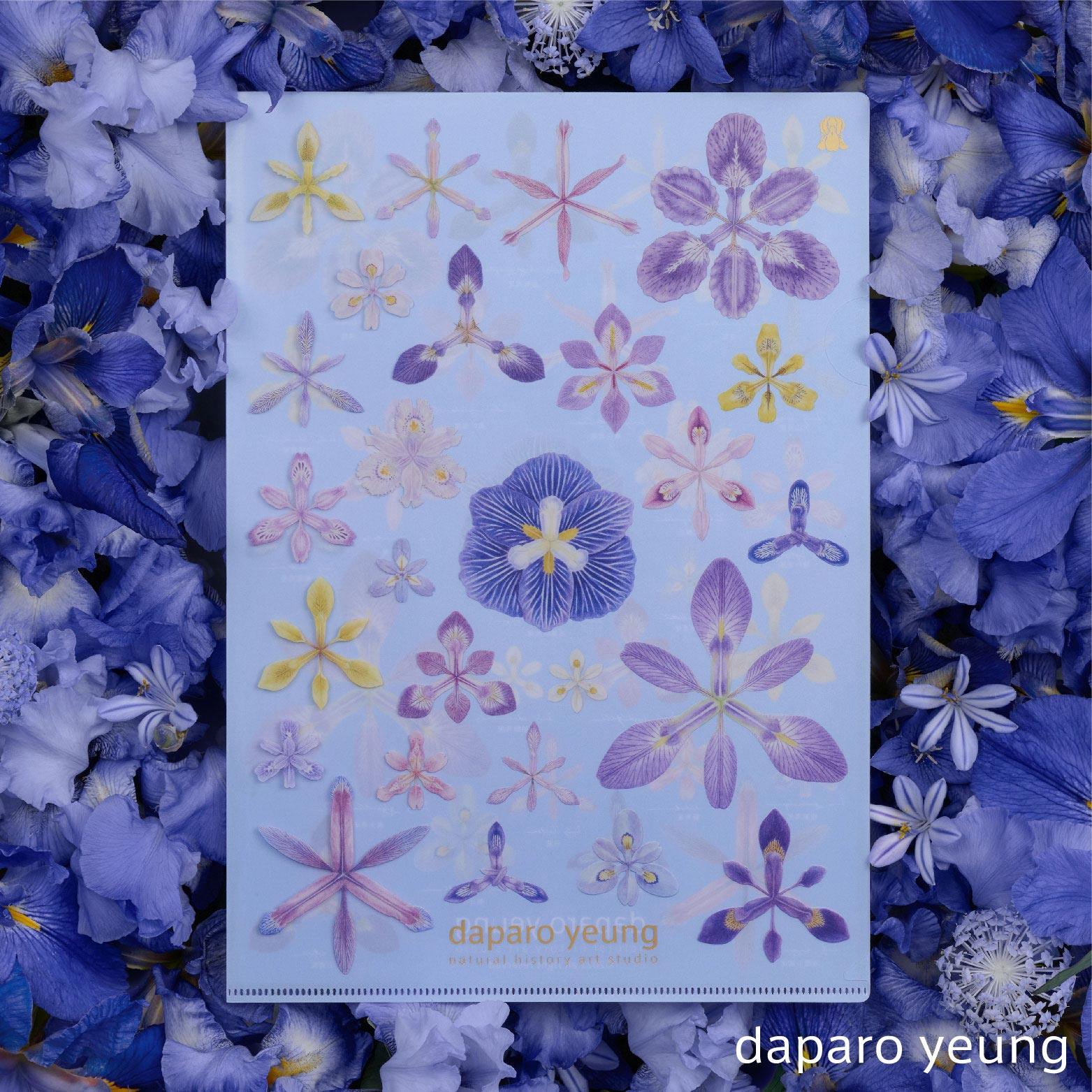 daparo yeung达普罗鸢尾文创单层文件夹花朵清新文具闺蜜节日礼物,淘宝优惠券,粉丝福利购,淘宝优惠卷