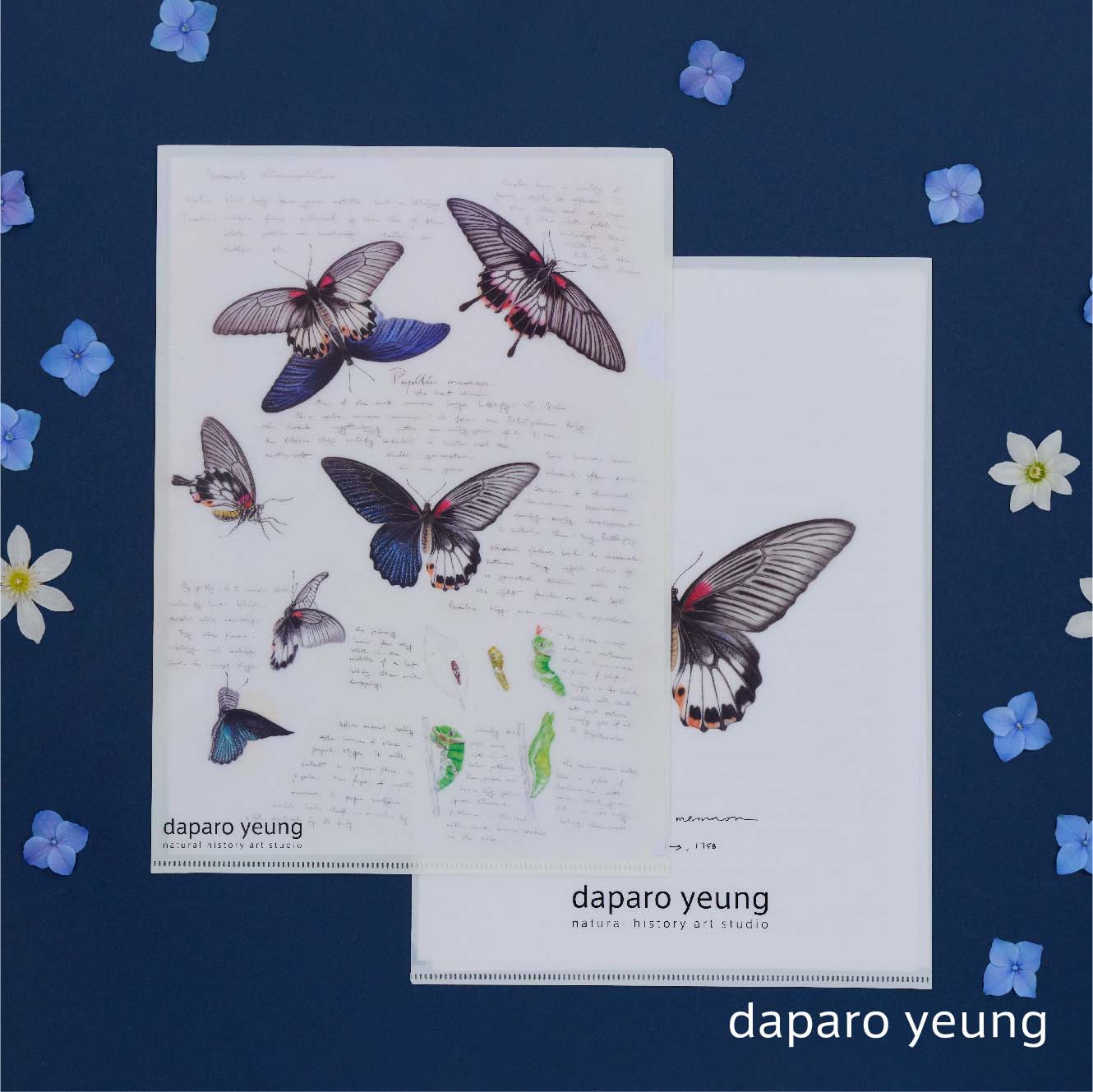 daparo yeung蝴蝶文件夹文创学生办公手绘a4资料夹收纳礼物-图0