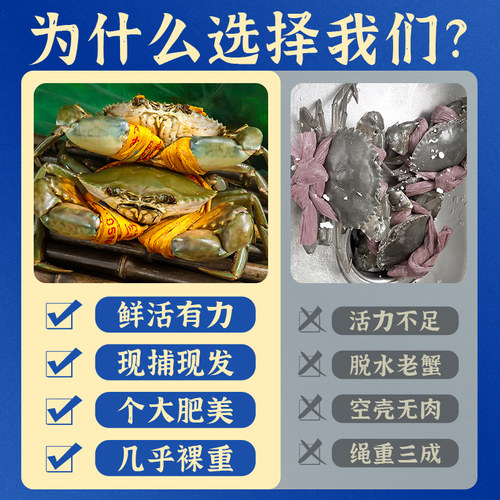 正宗三门青蟹鲜活特大公母螃蟹处子蟹肉蟹礼盒猷蠓2斤装共3-5只 - 图1