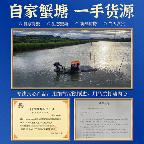 正宗三门青蟹鲜活特大公母螃蟹处子蟹肉蟹礼盒猷蠓2斤装共3-5只 - 图2