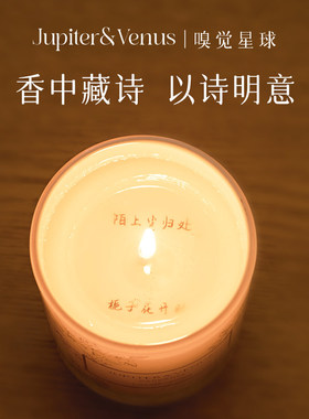 英国梨与小苍兰香薰蜡烛高级香味