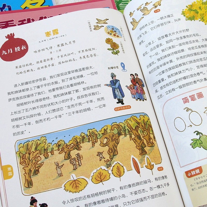 看看我们的二十四节气全4册徐慧莉春夏秋天冬我的四季变化大自然科普类书籍小学生课外书24节气习俗有哪些少儿动漫科普百科书