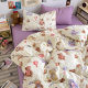 New four piece set ins series