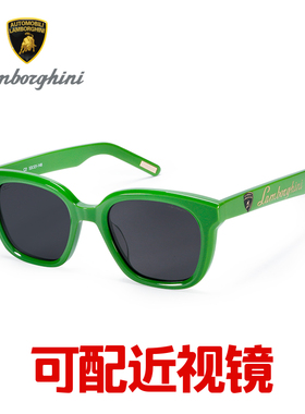 兰博基尼太阳镜女士高清偏光眼镜