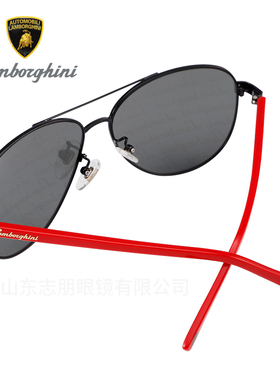 兰博基尼眼镜偏光男士太阳镜女