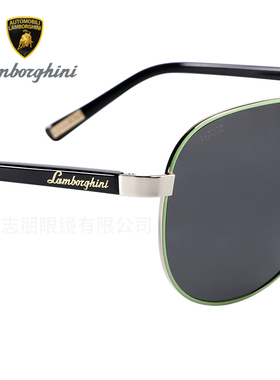 兰博基尼眼镜男士太阳镜女