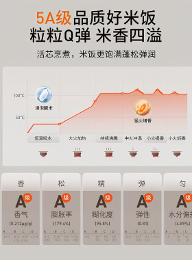 九阳IH加热0涂层多功能5L电饭煲
