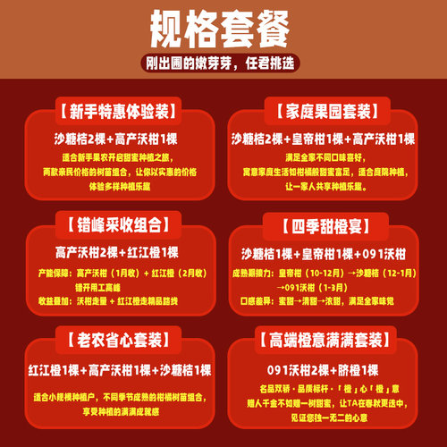 沃柑树苗广西武鸣嫁接果树无核091带叶子纯甜无籽包邮 - 图1
