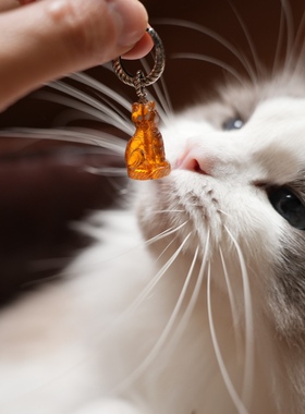 可爱乖坐猫咪复古风琉璃纯银吊坠个性小众ins可做耳环搭配