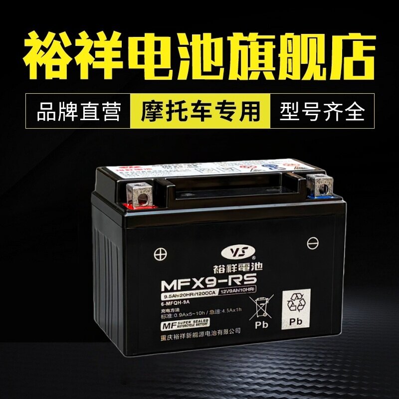 裕祥电瓶YTX9-BS黄龙600/300 DL250 贝纳利GW250光阳25012V9A电池 - 图0