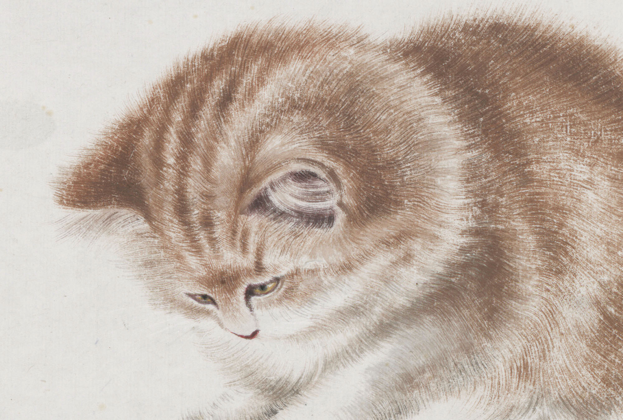 齐白石《猫趣图》国画宣纸动物工笔画高清微喷临摹装饰画挂画客厅 - 图1