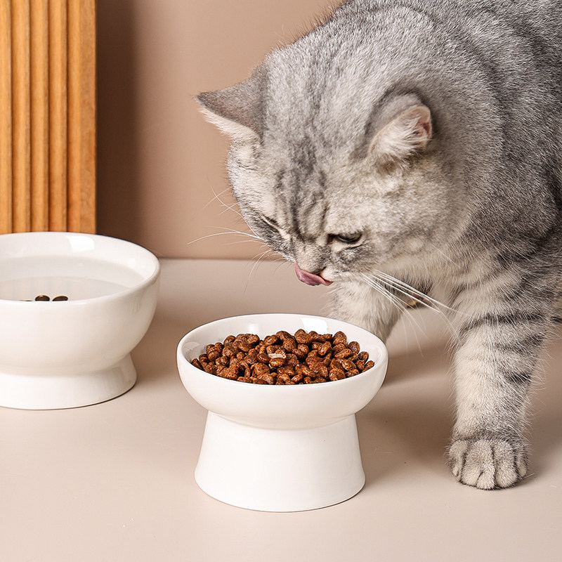 陶瓷猫碗保护颈椎防黑下巴单碗高脚零食饮水碗幼猫泰迪狗碗猫用品,淘宝优惠券,粉丝福利购,淘宝优惠卷