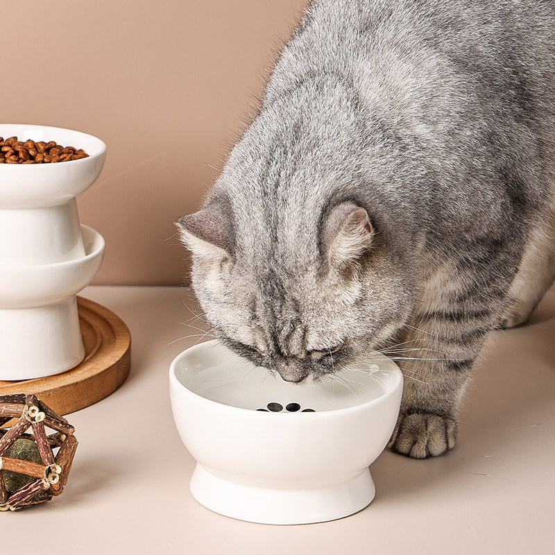 陶瓷猫碗保护颈椎防黑下巴单碗高脚零食饮水碗幼猫泰迪狗碗猫用品-图1