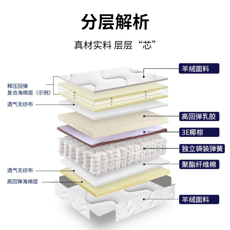 床垫海马浩博十大名牌官方席梦思家用硬垫乳胶椰棕弹簧床垫20cm厚-图0