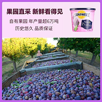 Sunsweet日光牌西梅干孕妇孕吐梅子2罐[21元优惠券]-寻折猪
