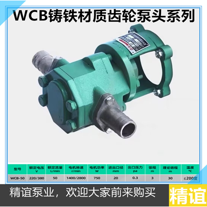 高温电动齿轮油泵WCB-30/50/75/100自吸油泵手提油泵抽油泵头系列 - 图2