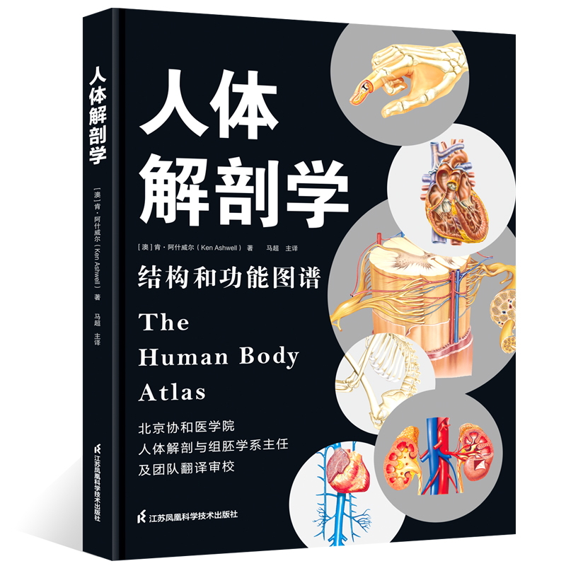 人体解剖学：结构和功能图谱 解剖图谱人体解剖学彩色法医学专业书籍法医系统功能局部基础解剖书全彩人体组织结构实用教材图册 - 图3