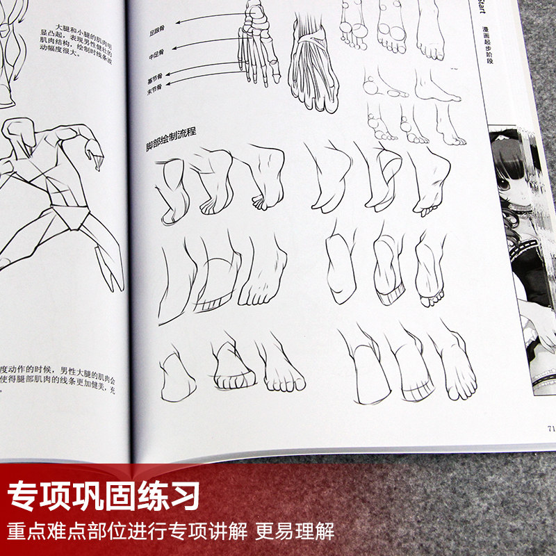 零基础学画漫画全3册画画入门自学零基础书籍动漫绘画教程书线描临摹画册本教材人物人体结构手绘头像画q版漫画素描技法基础_虎窝淘