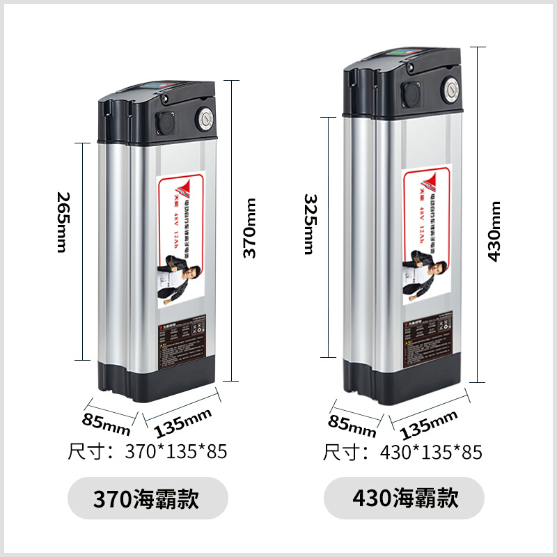 天能银鱼锂电池48V12ah海霸爱玛代驾车专用30AH雅迪原装正品通用 - 图1