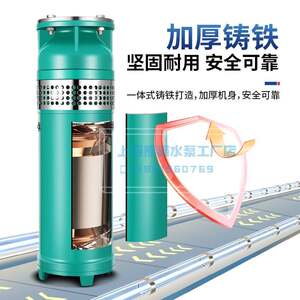 上海熊猫喷泉泵潜水泵QS/QSP小型井用泵用泵景观熊猫卧式水泵