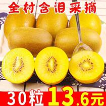 Yellow Heart Exotic Fruits Fresh 5 catties The whole box now off Sichuan Zhengzonge Exotic Fruits Big Fruits when Pregnant Women Fruits