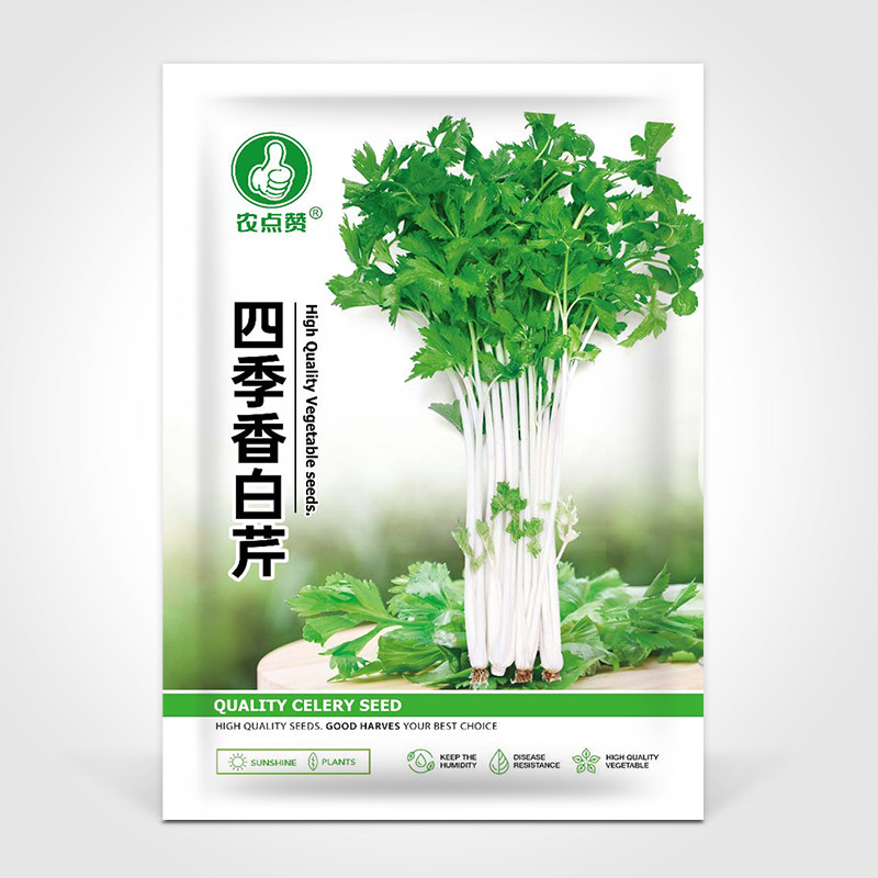 四季白芹菜种籽四川白杆白梗芹菜种孑本地实心小香芹菜籽种蔬菜子