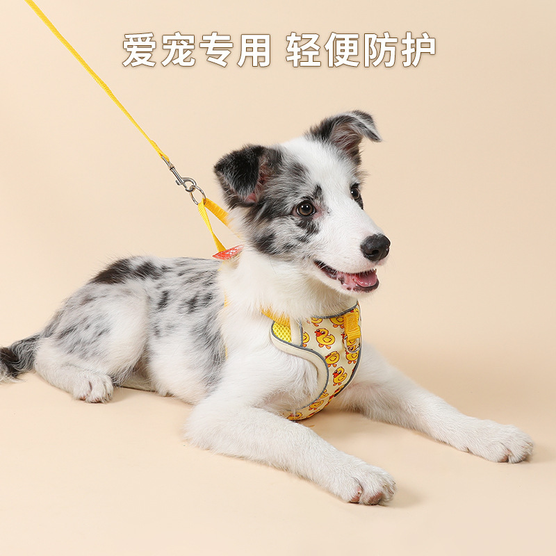 猫用牵引猫咪牵引绳可爱狗狗胸背带宠物外出遛狗绳子宠物用品 - 图2